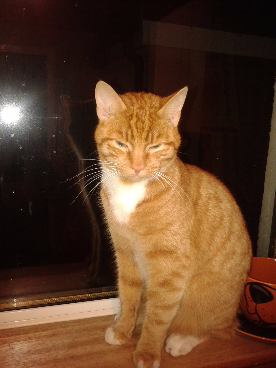 oliver
