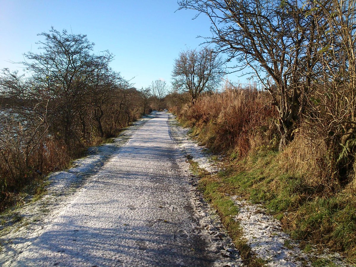 snowy walk
