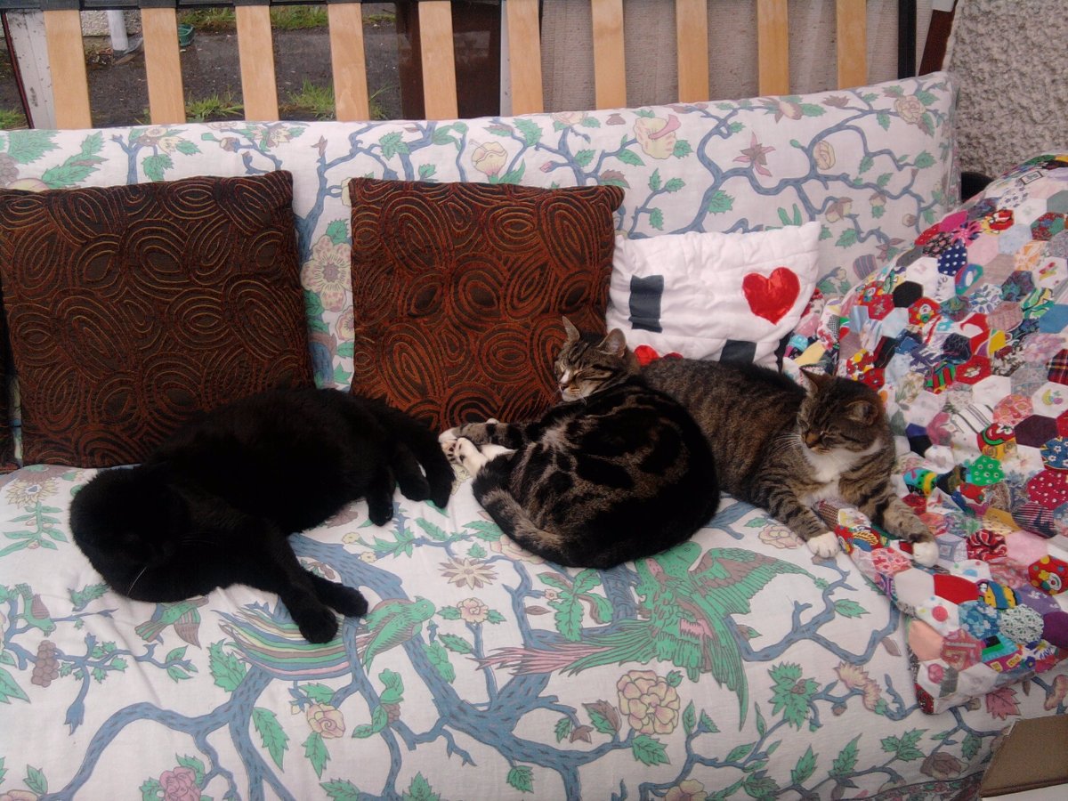 sooty, sunny and casey