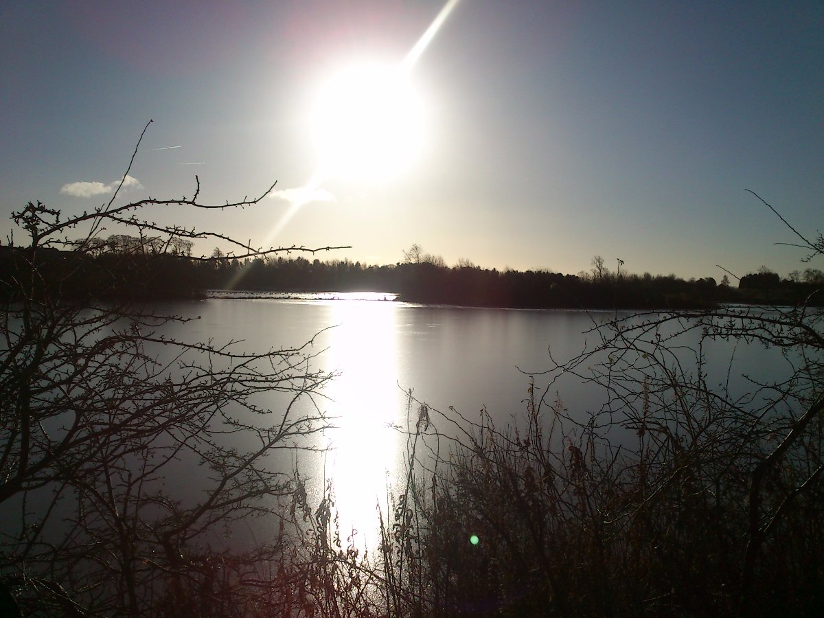 sun on a winters day