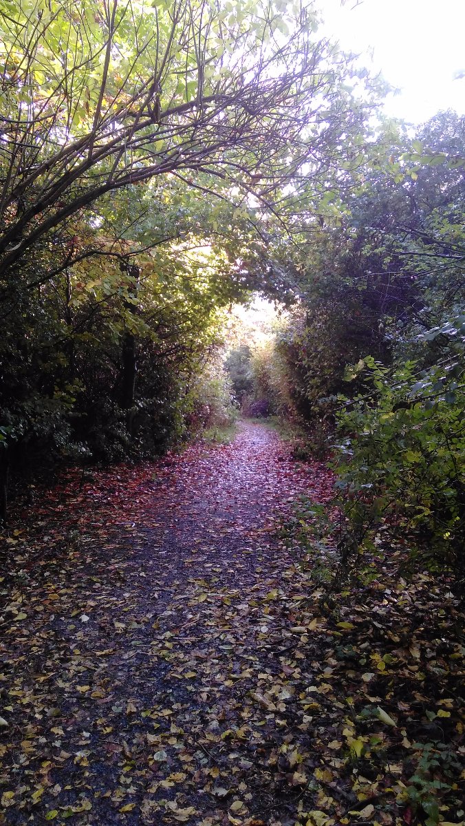 sunday walk