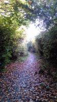 sunday walk