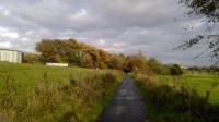sunday walk