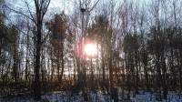 winter walk