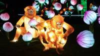 monkey lanterns