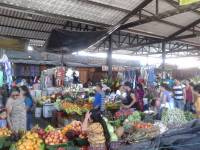 market day