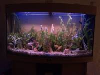 aquarium