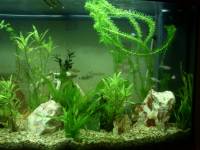 aquarium