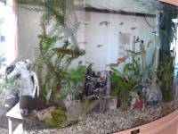 daytime aquarium