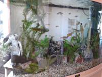 aquarium