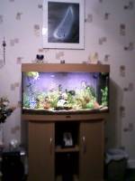 aquarium
