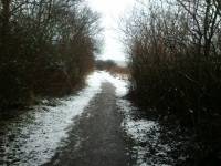 snowy walk