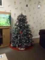 tree
