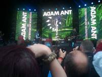 adam ant at rewind