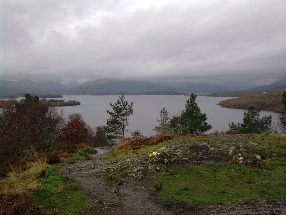view from the top of the hill
