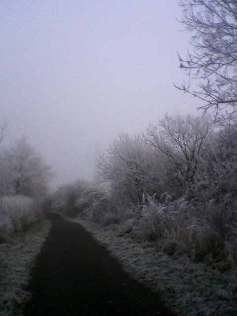 winter path