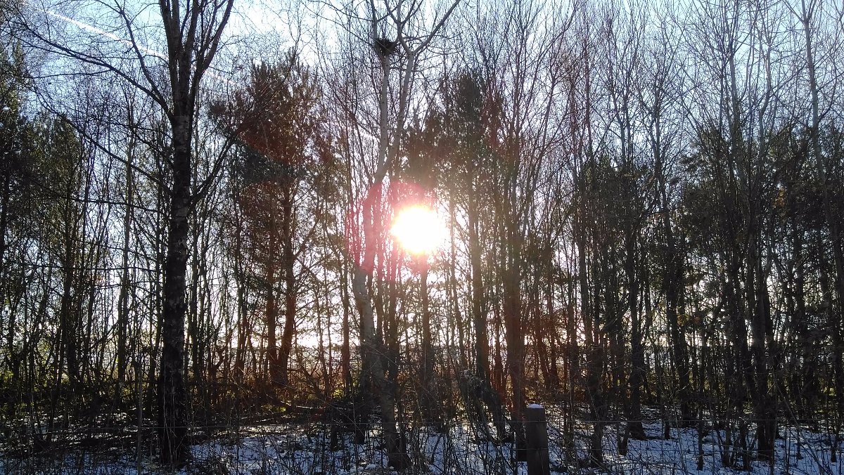 winter walk