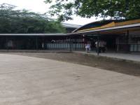 School