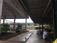 School