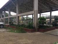 School