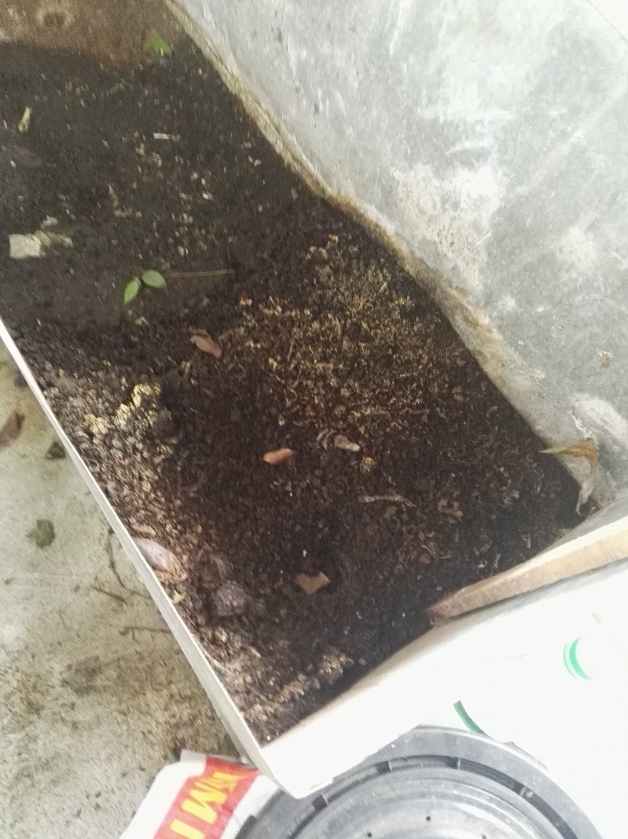 Fertilizer