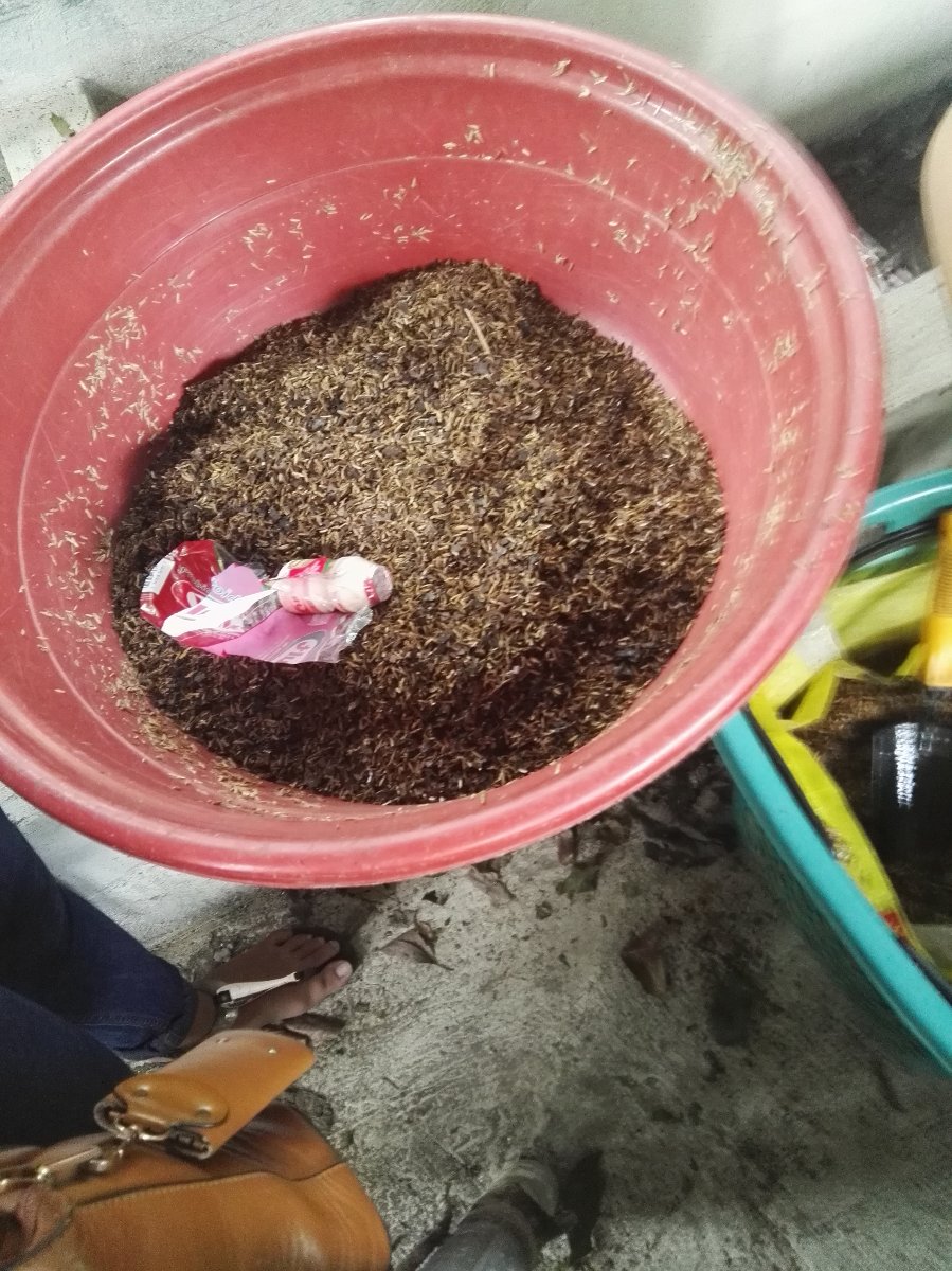 Fertilizer