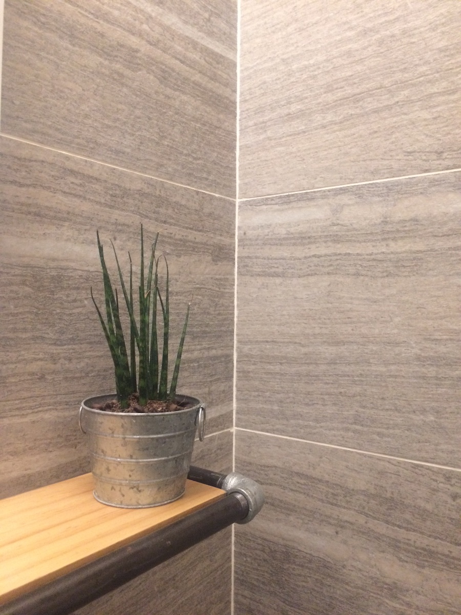 Plant