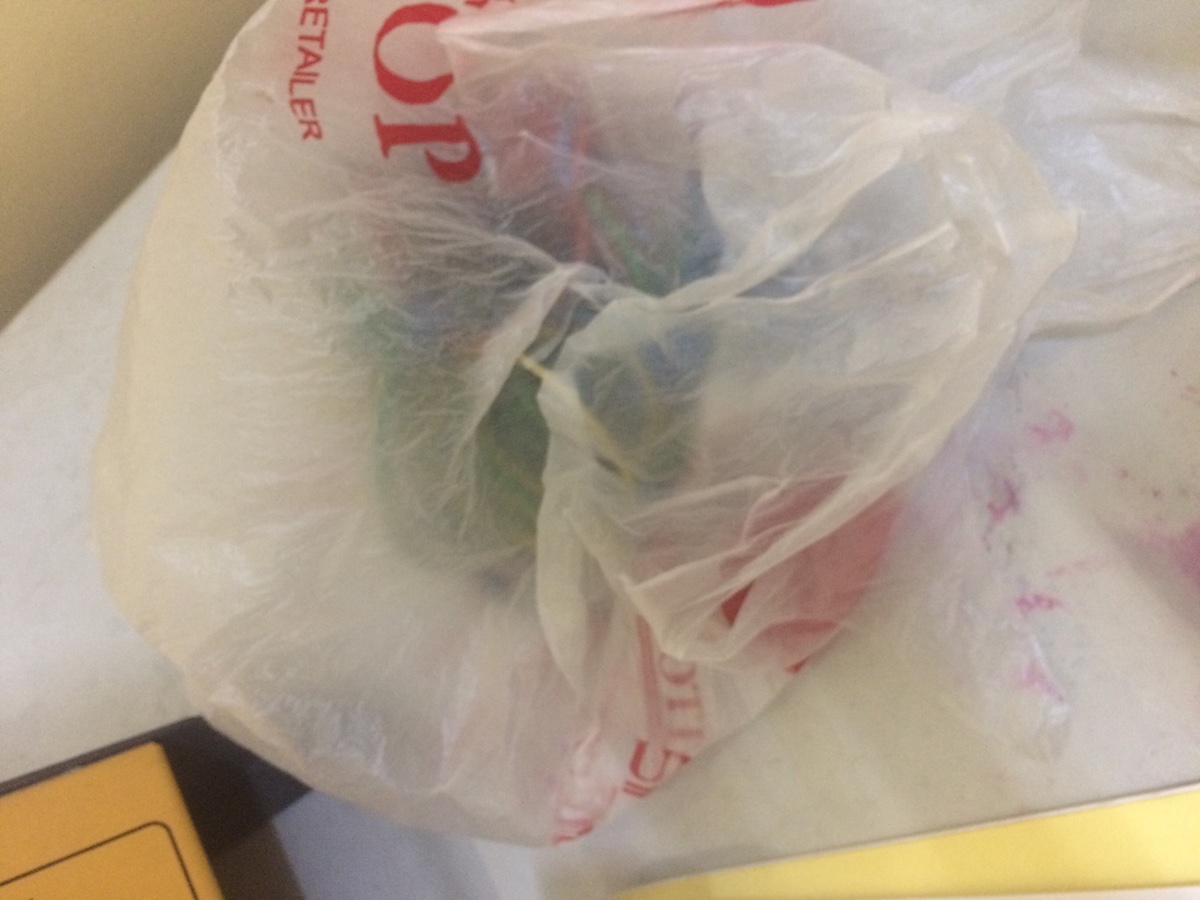 Plastic