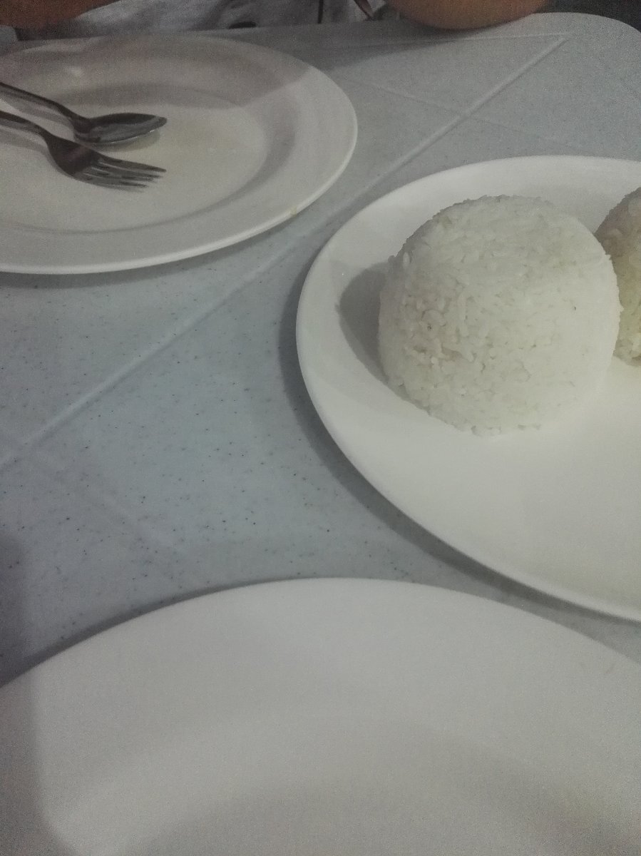 Rice