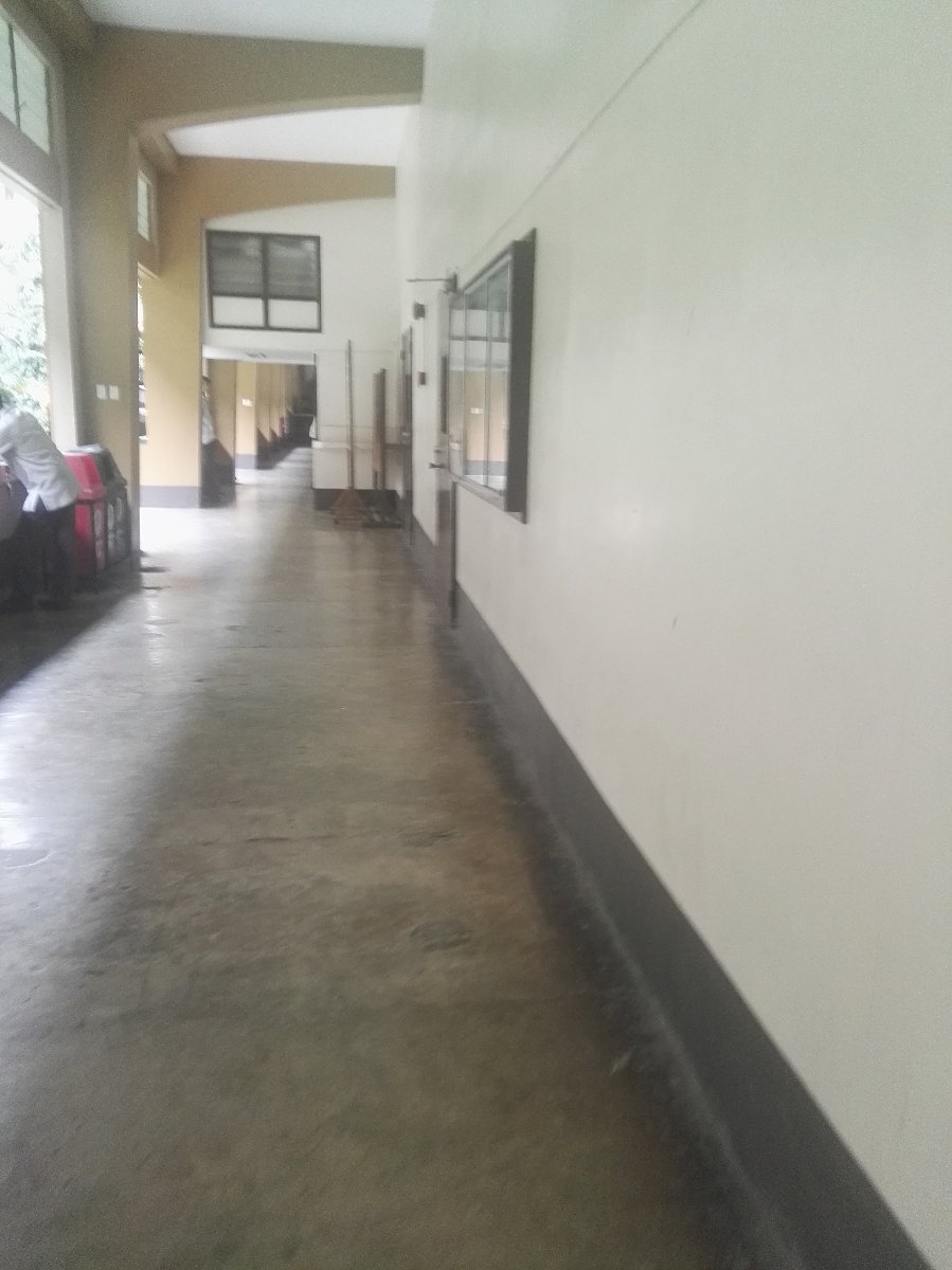 School