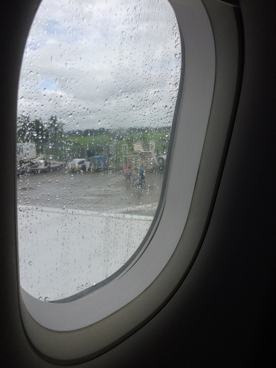 Window