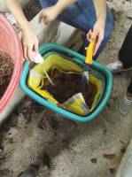 Fertilizer