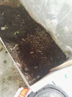 Fertilizer