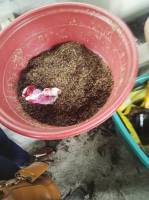 Fertilizer