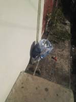Trash