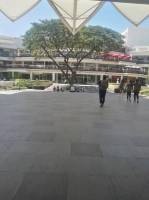 Terraces