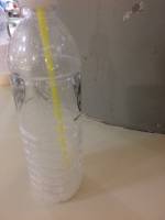 Bottle