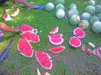 Watermelon All You Can