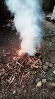 fire burning dried leaves leaves swept photo photography smoke