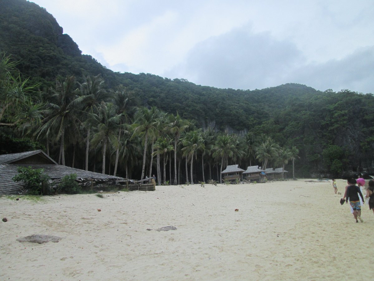 Those Long Countless Coconut Trees 