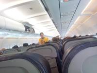 Flight Attendants 