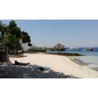@Moalboal panagsama beach resort Chillin