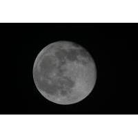 Moon, Prime Focus, 1200 mm focus length, 320ms exposure
