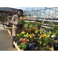 Buying some plants for gardening, Anwick Garden Center, Lincolnshire, UK
