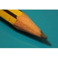 To the Point, pencil macro shot